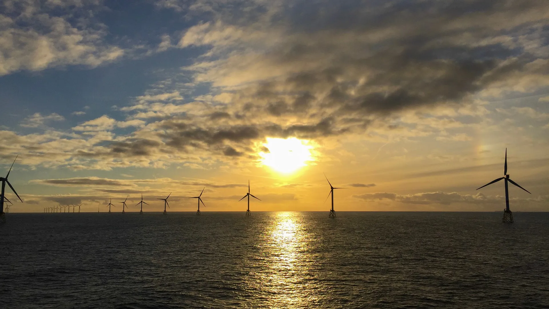 Shutterstock 780327043